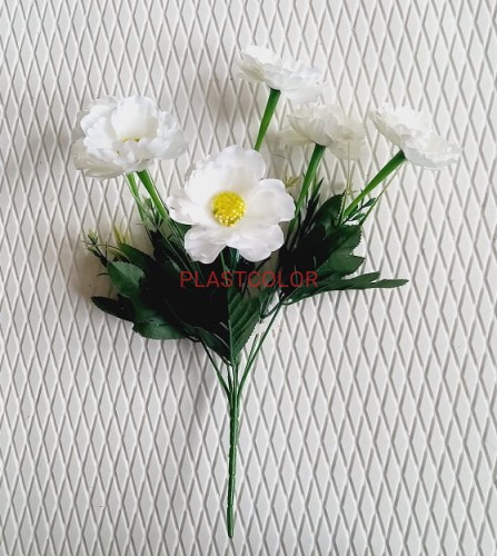 cynia biała.jpg