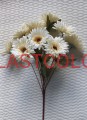 gerbera krem.jpg