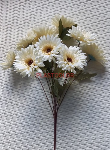 gerbera krem.jpg