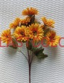 gerbera pomar.jpg