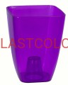Osłonka storczyk transp kw T04 fioletowy.jpg