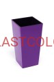 fiol.jpg