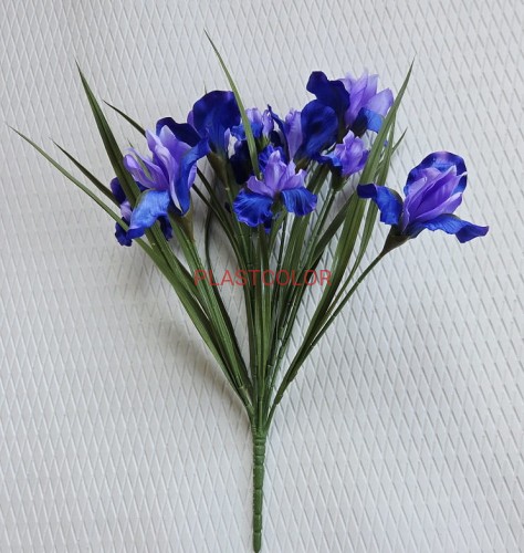 irys niebieskofioletowy.jpg