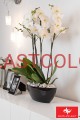 DON_PLAST_002.jpg