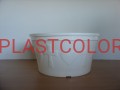 DSC08760.JPG