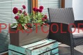 BEGONIA FRAPPE NR 84.jpg