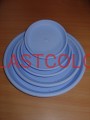 DSC07538.JPG