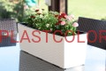 KWIETNIK BEGONIA RATTAN KREMOWY NR 74.JPG