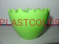 DSC07980.JPG