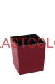 IMG_4565_bordo.jpg