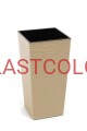img_3004_cappuccino.jpg